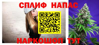 гашик Тверь