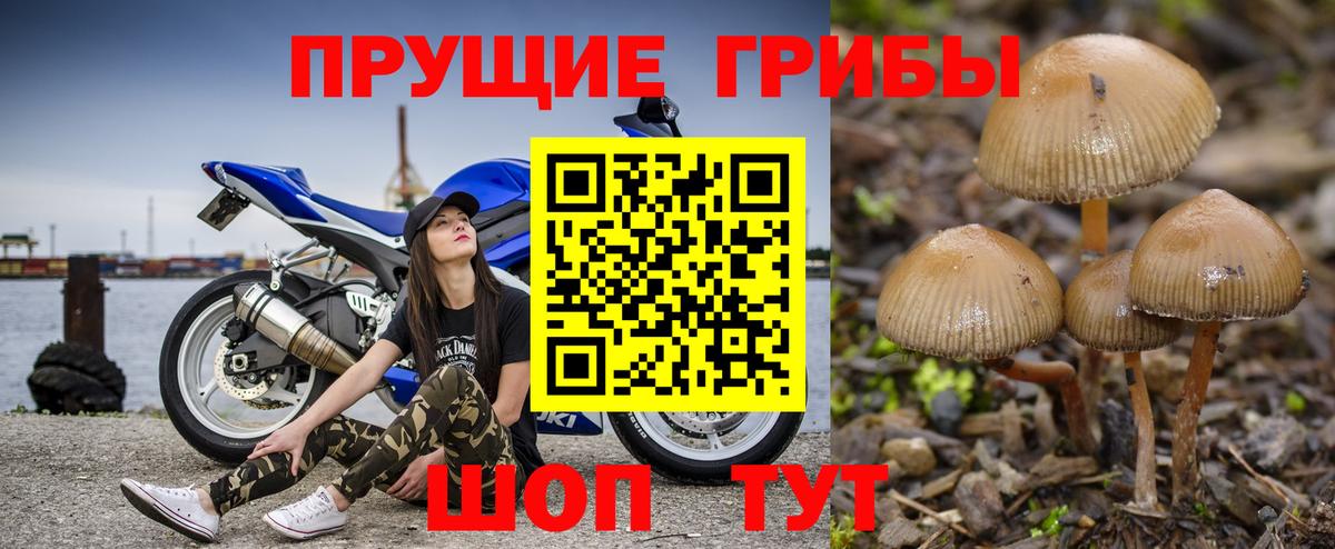 Псилоцибиновые грибы MAGIC MUSHROOMS  Вход с VPN  Новочебоксарск 